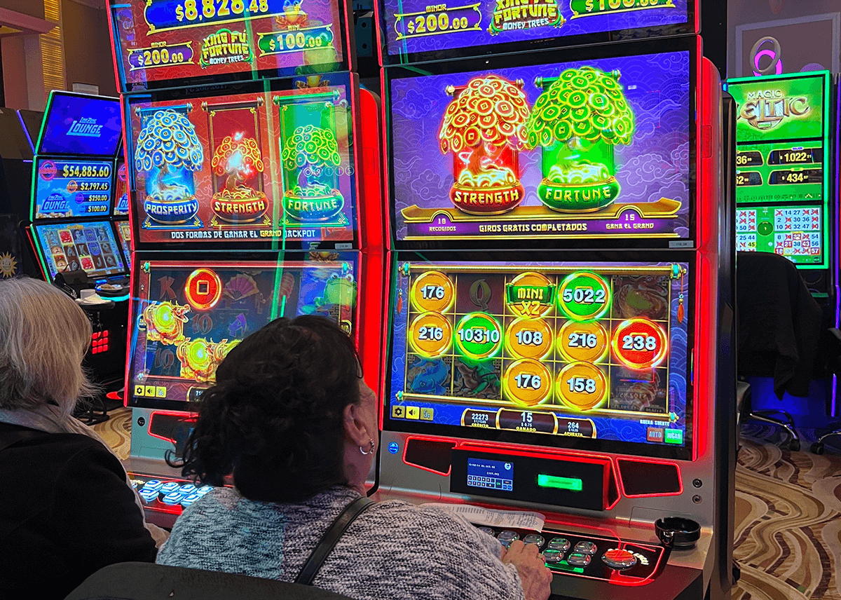 Casino players sitting in a Mexican casino and enjoying Xing Fú Fortune Money Trees